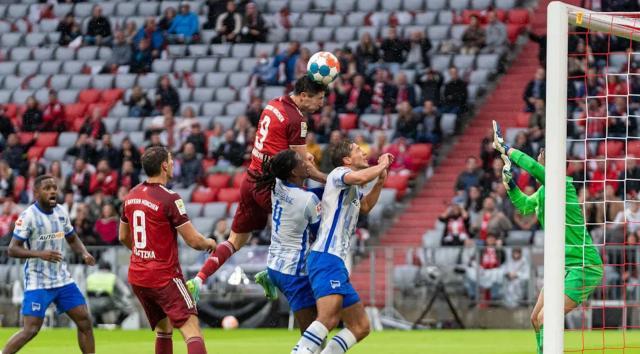 1630220686468070580.jpg 1630220686468070580.jpg